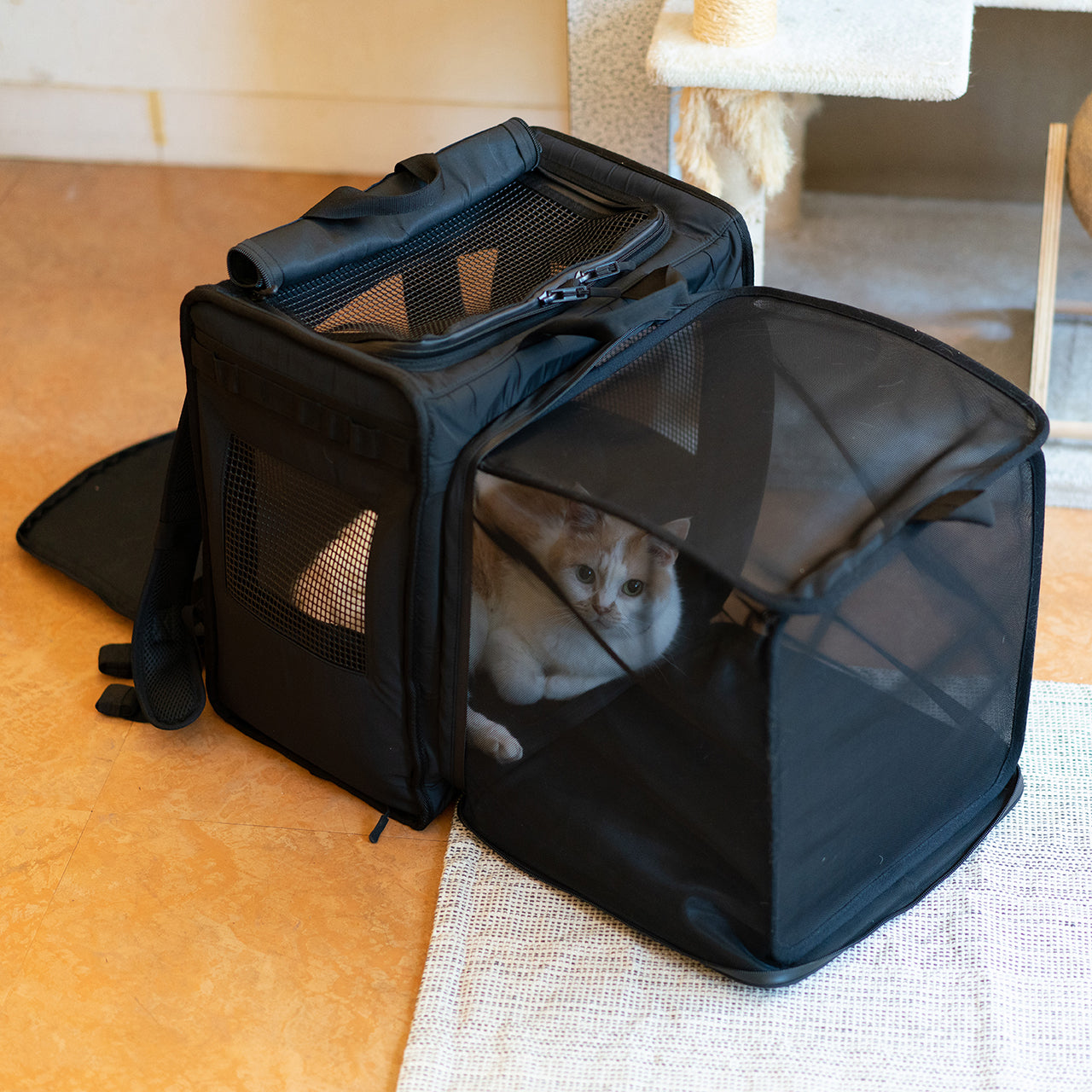 EXPANDABLE BACKPACK エクスパンダブルバックパック マンダリンブラザーズ for CAT