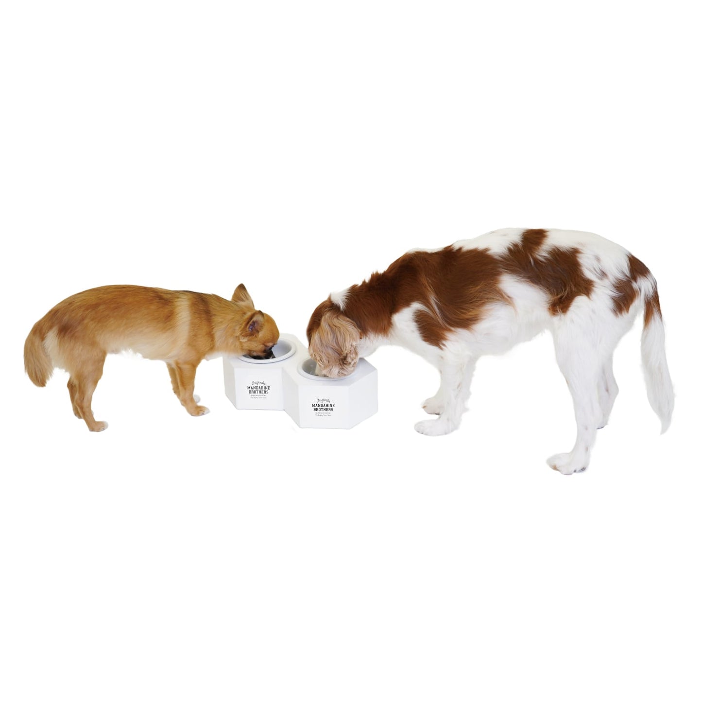 MB FOOD BOWL