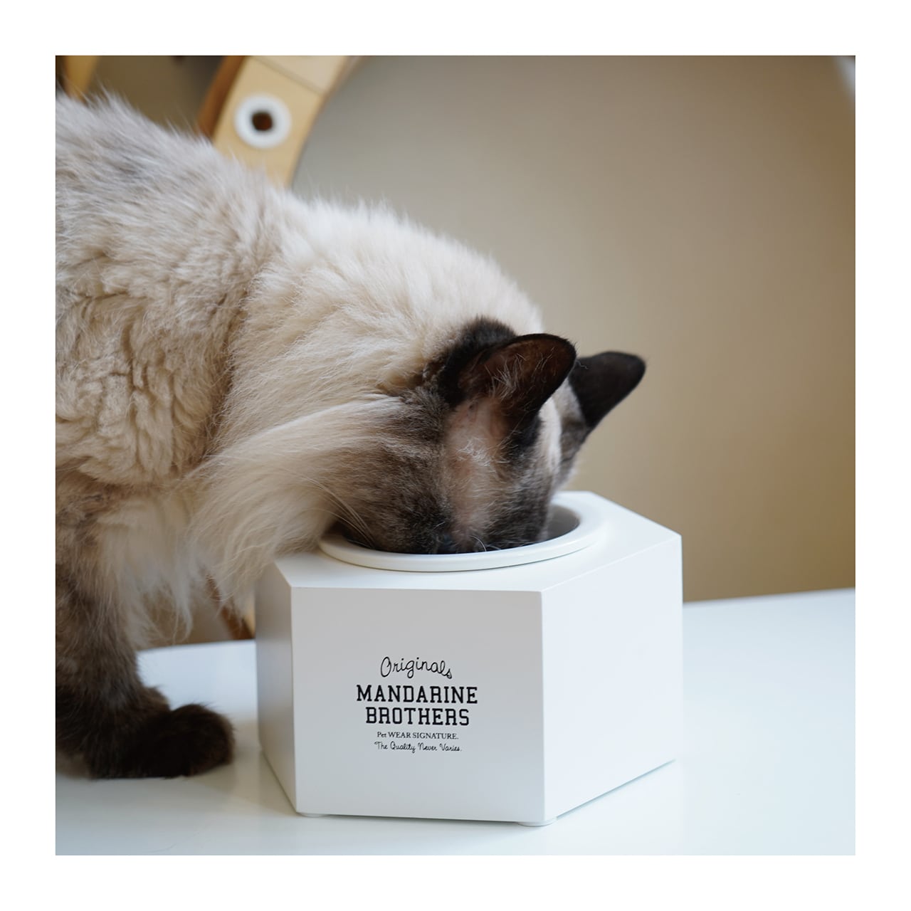 MB FOOD BOWL