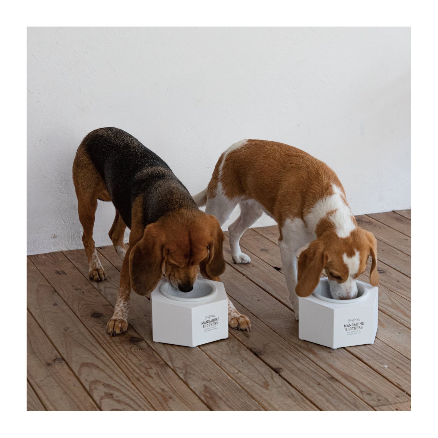 MB FOOD BOWL