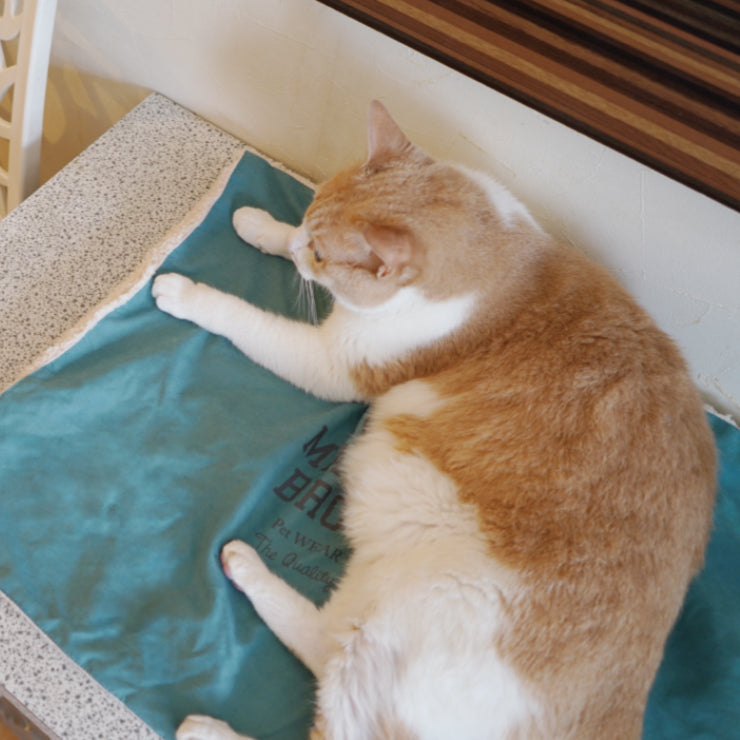 REVERSIBLE BOA MAT
