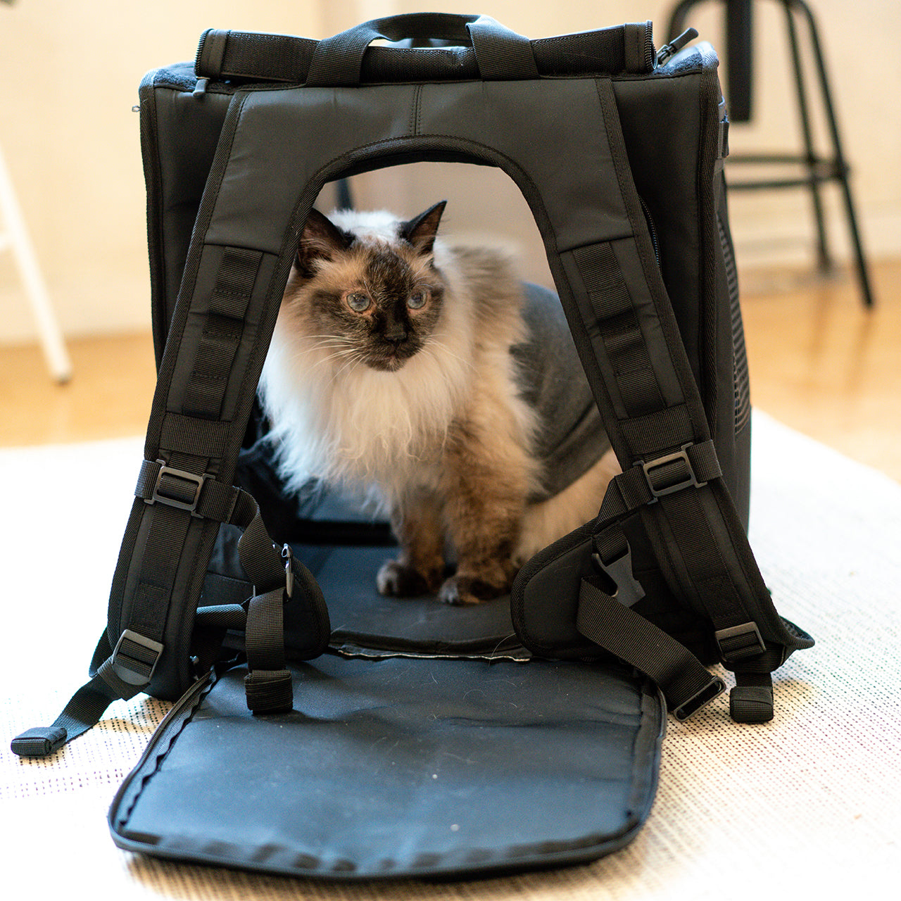 EXPANDABLE BACKPACK