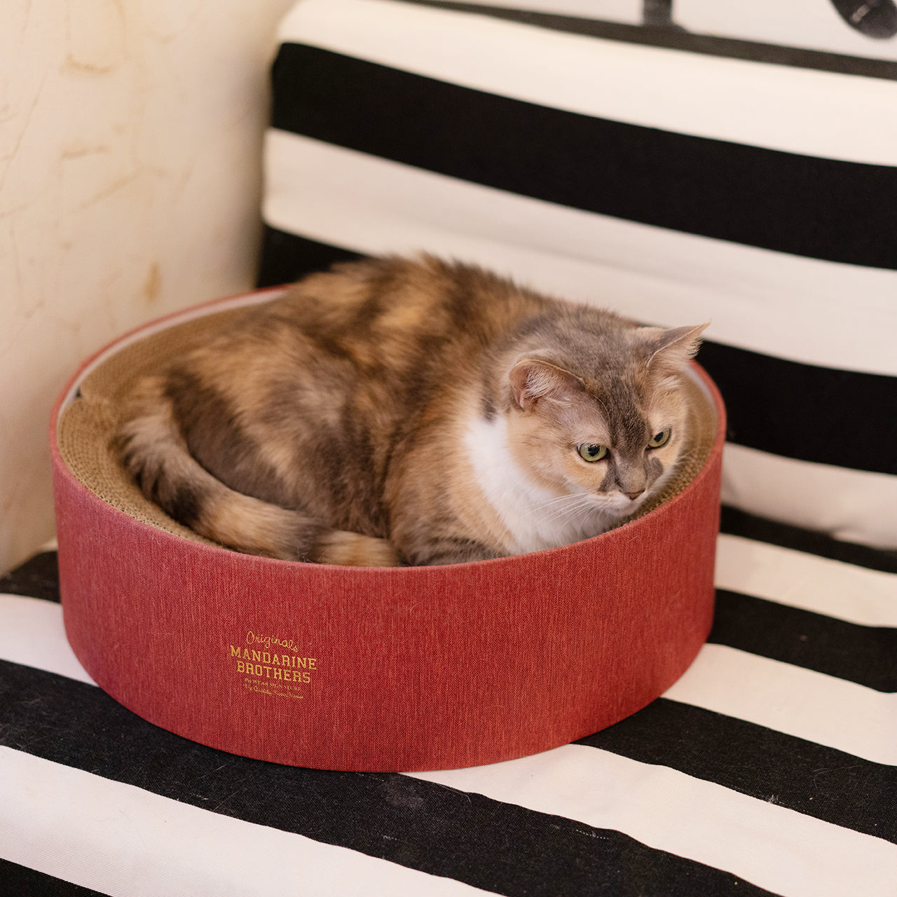 CAT SCRATCHER ROUND BED